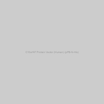 C10orf47 Protein Vector (Human) (pPB-N-His)